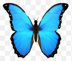 My Miniblog - Butterfly Emoji Png,Fly Emoji