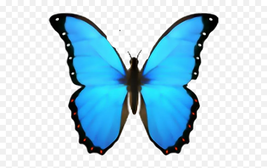 My Miniblog - Butterfly Emoji Png,Fly Emoji