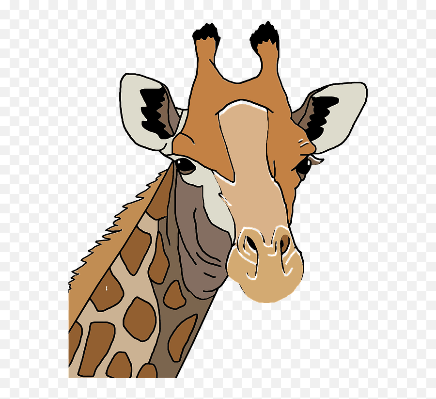 Giraffe Head Clipart - Cabeza De Jirafa Dibujo Emoji,Giraffe Emoji