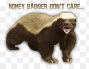 Honey Badger Honey Badger Humor Badger - Honey Badger Don T Care Emoji,Badger Emoji