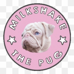 Black - Owned Pet Businesses Youu0027ll Totally Love U2013 And The Pug Emoji,Milkshake Emoji