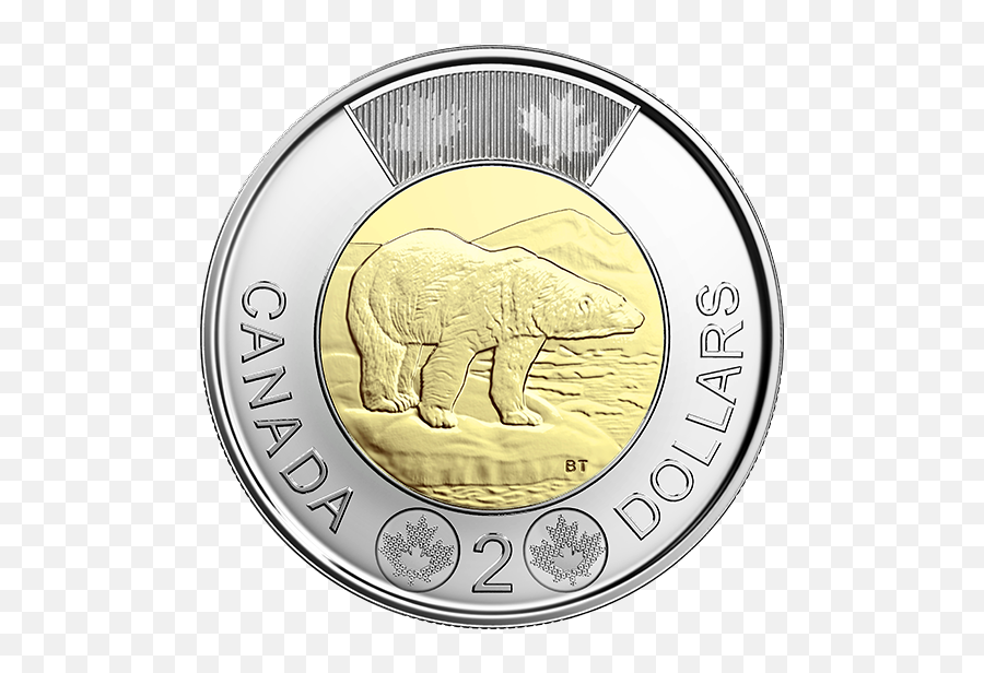 Canadian Coin Png U0026 Free Canadian Coinpng Transparent - Canadian Toonie Emoji,Penny Emoji