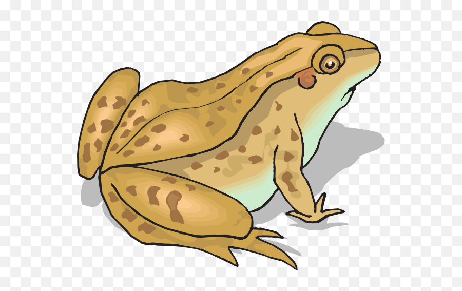 Clipart Of Frogs And Toads - Toad Clipart Emoji,Toad Emoji