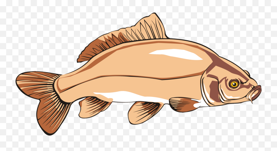Bone Cat Fish Transparent Png Clipart - Clip Art Of Carp Emoji,Catfish Emoji