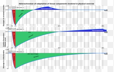 Heterochronism Of Adaptation - Supercompensation Graph Emoji,Emoji Level 110
