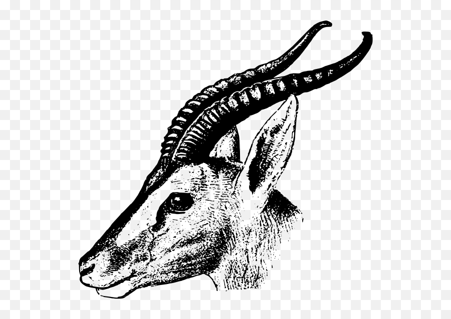 Soemmerrings Gazelle - Impala Clipart Black And White Transparent Background Emoji,Flag Horse Lady Music Emoji