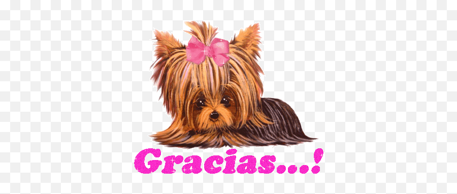 Tail Wagging Dog - Gif De Gracias De Perritos Emoji,Emoticonos Skype