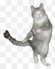 Chat Log - Dancing Cat Gif Transparent Emoji,Dancing Cat Emoji