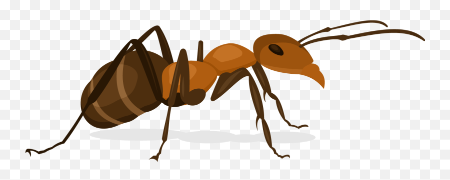 Transparent Ant Candy Picture Emoji,Ant Emoticon