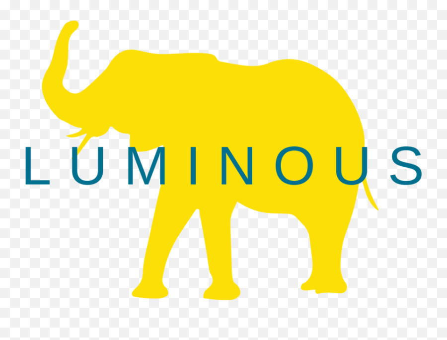 Parties U2014 Luminous Elephant Vancouver Art Classes U0026 Events Emoji,Elephant Emoji