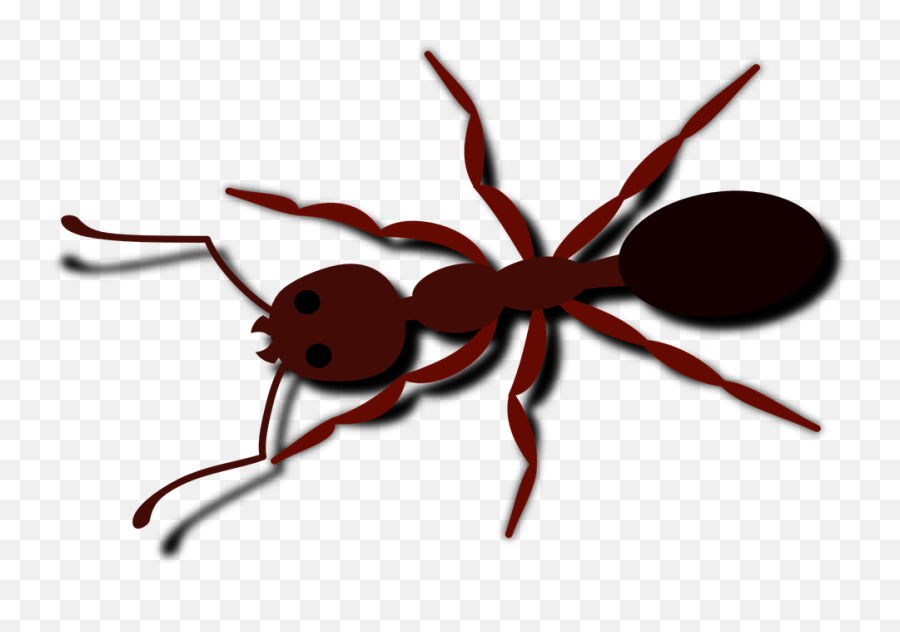 Cute Cartoon Bugs 28 Buy Clip Art - Ant Clip Art Emoji,Zzz Ant Ladybug Ant Emoji