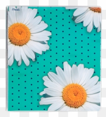 Mead Pretty Please Heat Sealed Binder - Chamomile Emoji