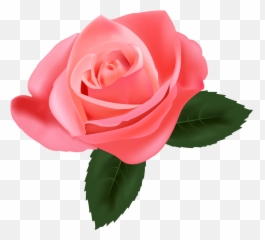 Pink Rose Png Clipart - Rose Clipart Png Emoji,Rose Emoji Png