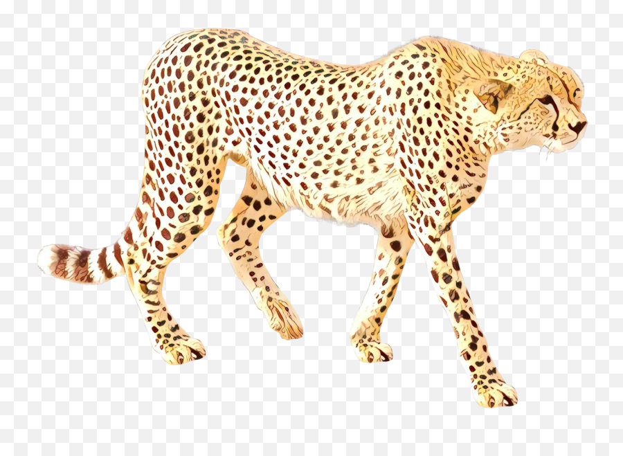 Cheetah Leopard Cat Jaguar Terrestrial Animal - Transparent Pictures Animals Emoji,Cheetah Emoji