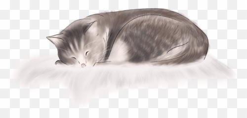 Cat Kitten Sleeping Sleepingcat Fluffy - Domestic Emoji