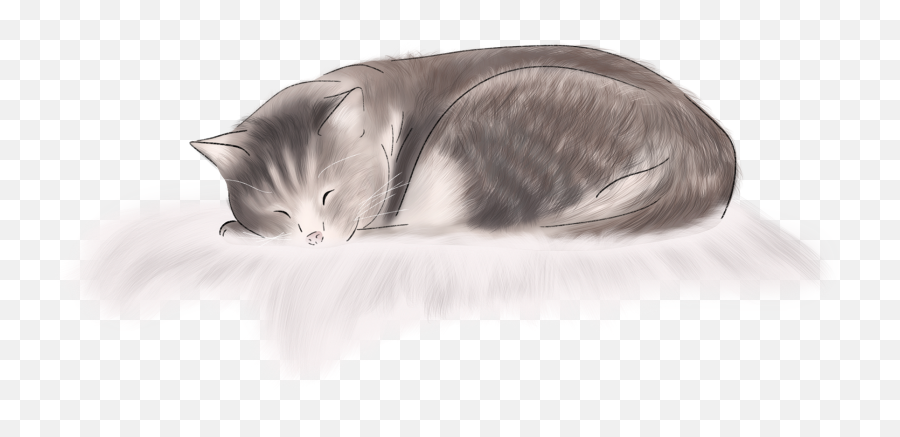 Cat Kitten Sleeping Sleepingcat Fluffy - Domestic Cat Emoji,Sleeping Cat Emoji