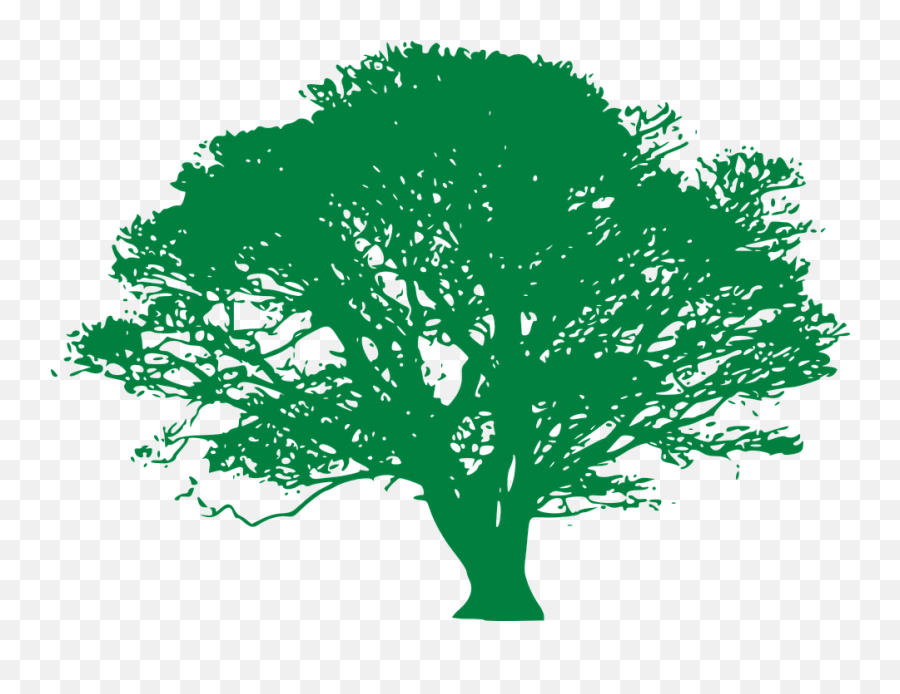 Free Outside Nature Vectors - Old Tree Silhouette Png Emoji,Flirt Emoticon