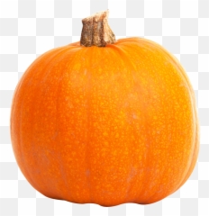 Pumpkin Png - Pumpkin Emoji,Pumpkin Pie Emoji