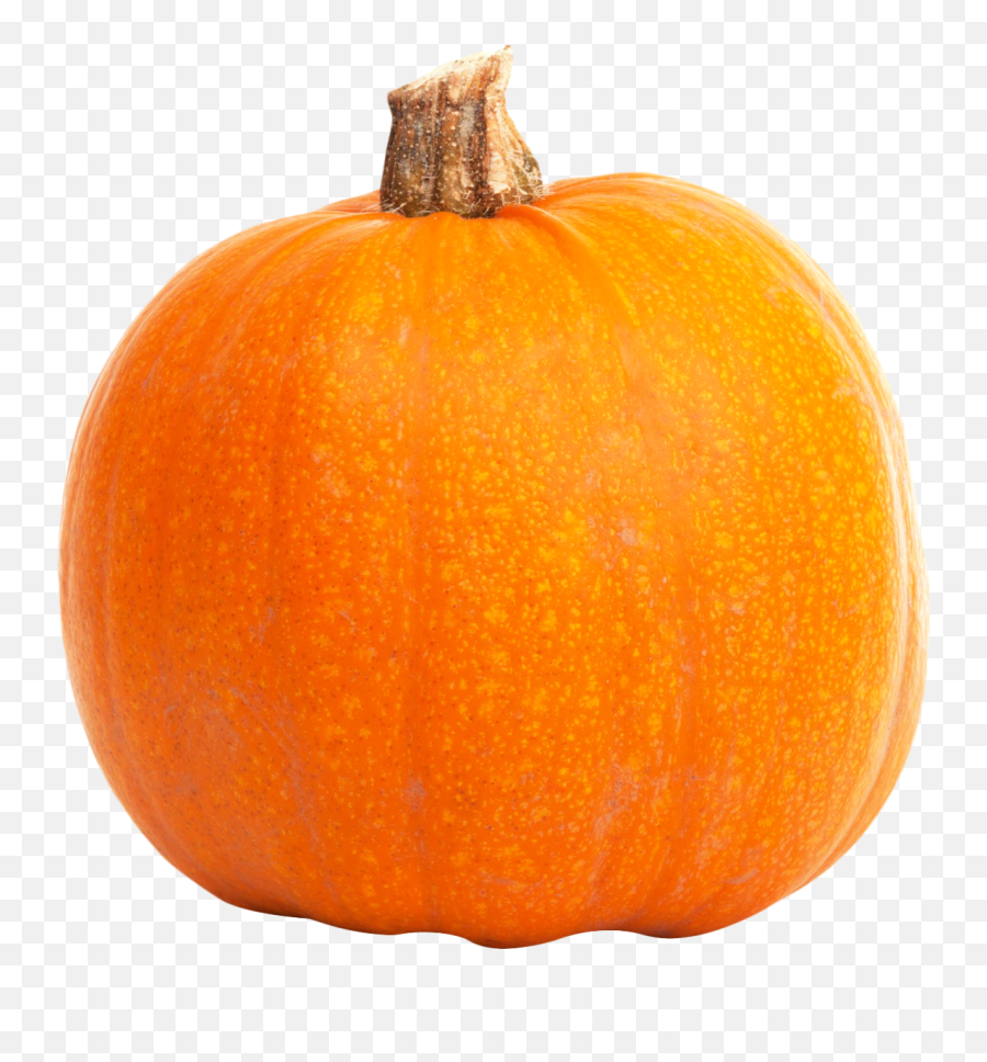 Pumpkin Png - Pumpkin Emoji,Pumpkin Pie Emoji