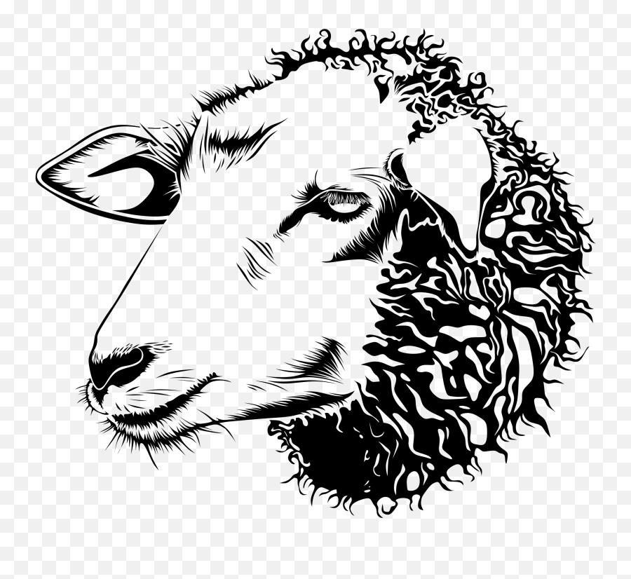 Sheep Clipart Barnyard Sheep Barnyard - Sheep Head Black And White Emoji,Sheep Emoticon