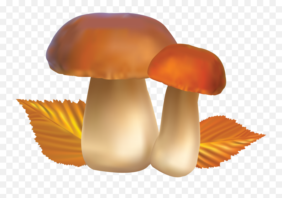 Mushroom Clipart Bing Images Mushrooms - Clipart Mushroom Png Emoji,Emoji Mushroom