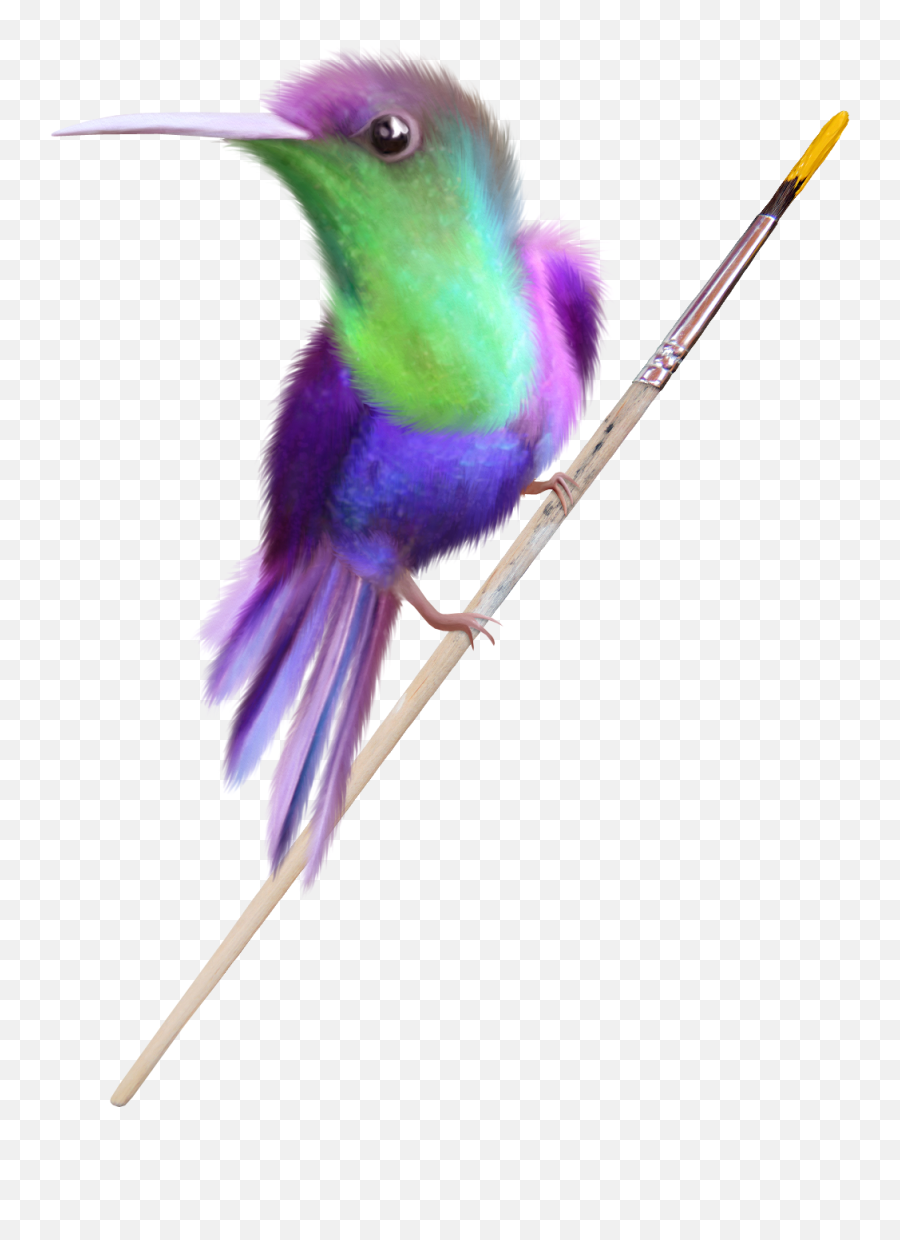 Beauty Hummingbird Free Clip Art - Coraciiformes Emoji,Hummingbird Emoticon
