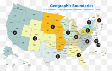 Appeals And District Court Map - Us District Courts Emoji,Usa Emoji Map