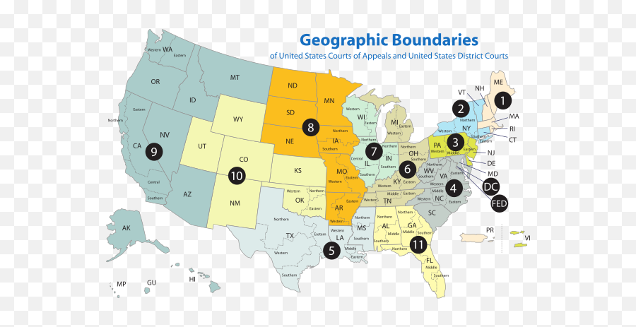 Appeals And District Court Map - Us District Courts Emoji,Usa Emoji Map