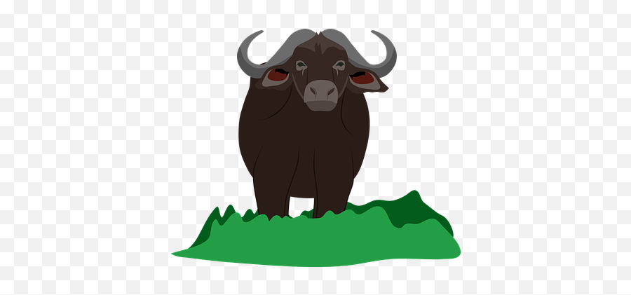 Over 100 Free Buffalo Vectors - Pixabay Pixabay Kerbau Vektor Emoji,Buffalo Emoji