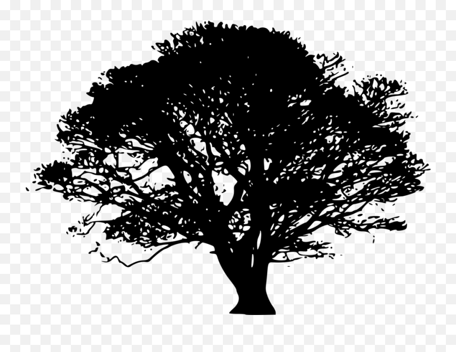 Tree Silhouette - Black Silhouette Tree Png Emoji,B Emoji No Background