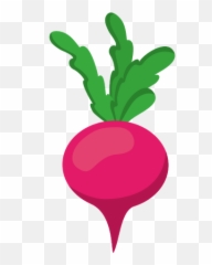 Radish Vector Transparent Png Clipart - Vector Graphics Emoji,Radish Emoji