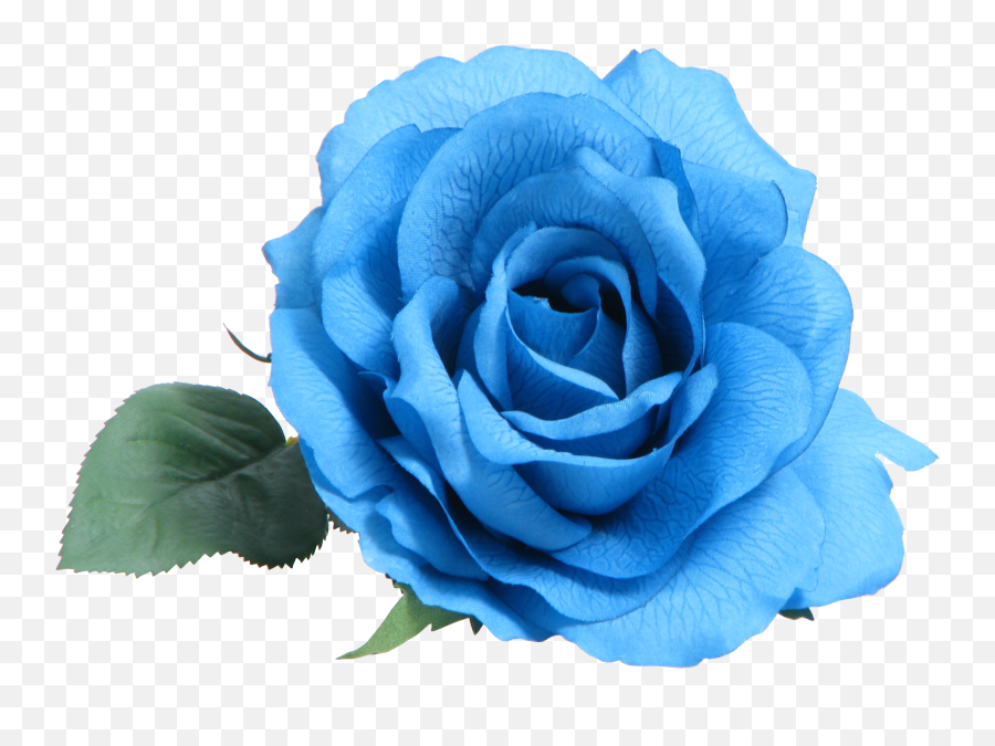 Blue Rose Clip Art - Transparent Blue Flower Png Emoji,White Rose Emoji
