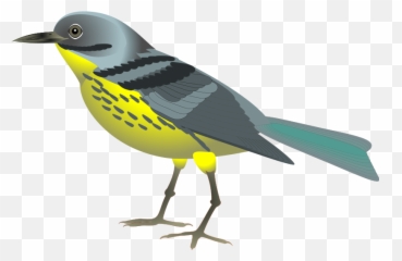 Bird Graphics Clip Art - Realistic Bird Clip Art Emoji,Oriole Emoji