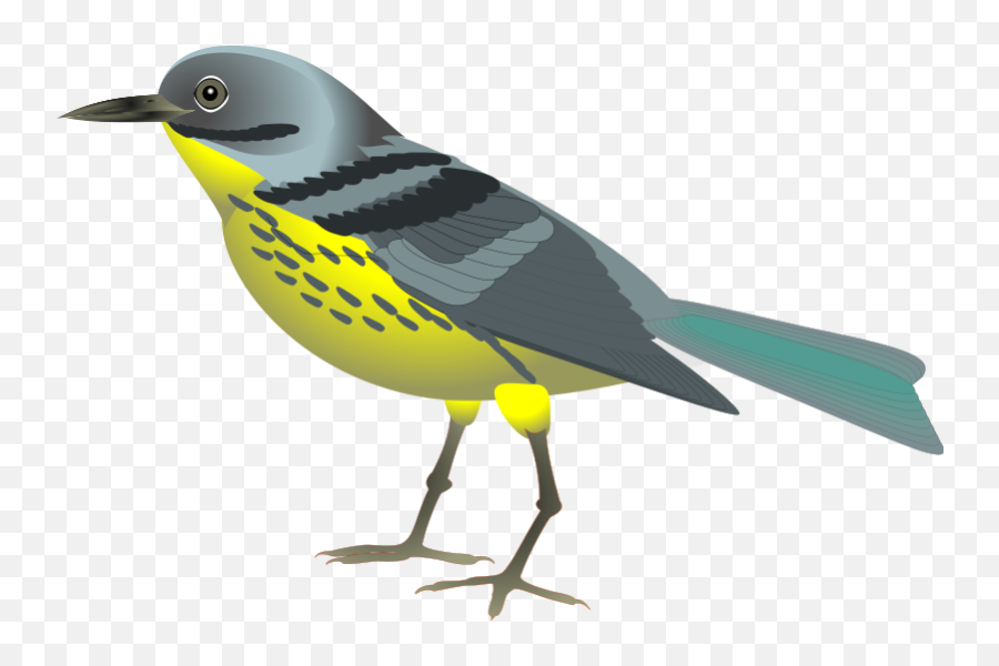 Bird Graphics Clip Art - Realistic Bird Clip Art Emoji,Oriole Emoji