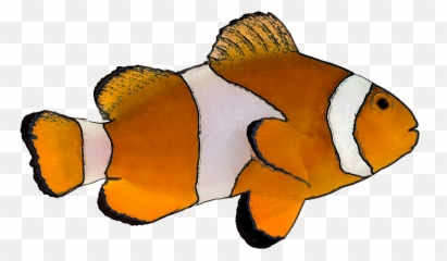 Stock Images Of Tropical Fish Png - Transparent Background Clipart Emoji