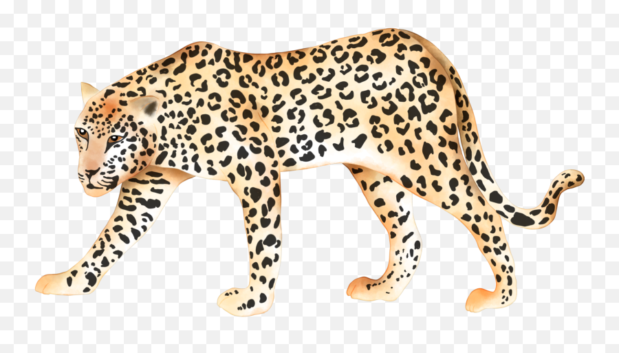 Leopard Jaguar Animalprint Bigcats - African Leopard Emoji,Jaguar Emoji