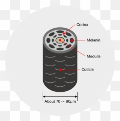 eQa - Circle Emoji