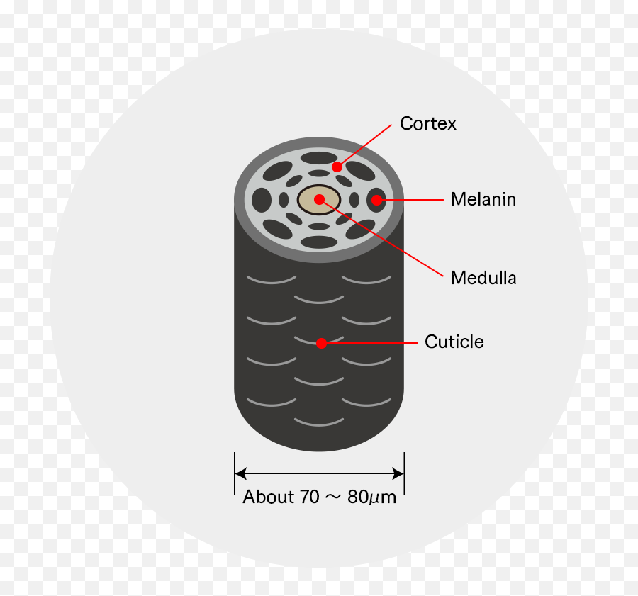 Eqa - Circle Emoji,Showering Emoticon