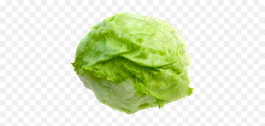 Lettuce With A Transparent Background - Lettuce Png Transparent Background Emoji,Lettuce Emoji
