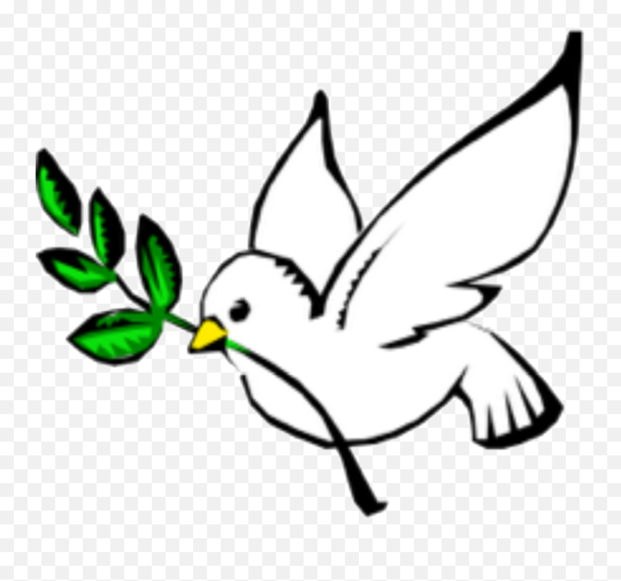 Columbidae Doves As Symbols Peace Olive Branch Clip Art - Olive Branch Petition Clipart Emoji,Dove Emoji
