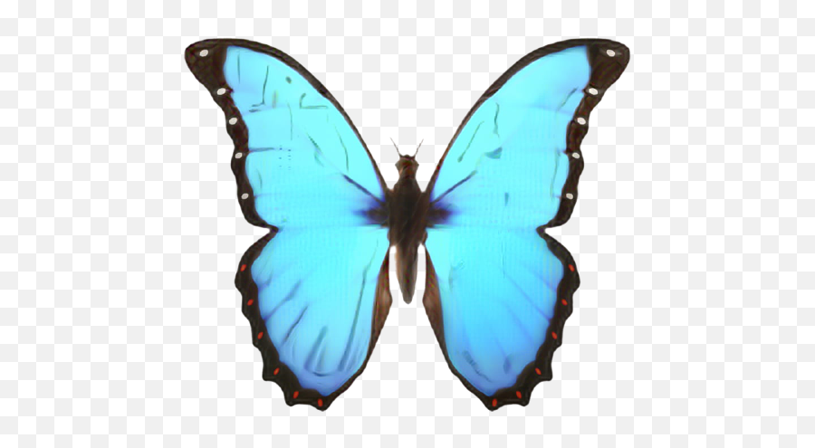 Services And Registration - Iphone Butterfly Emoji,Facebook Butterfly Emoji