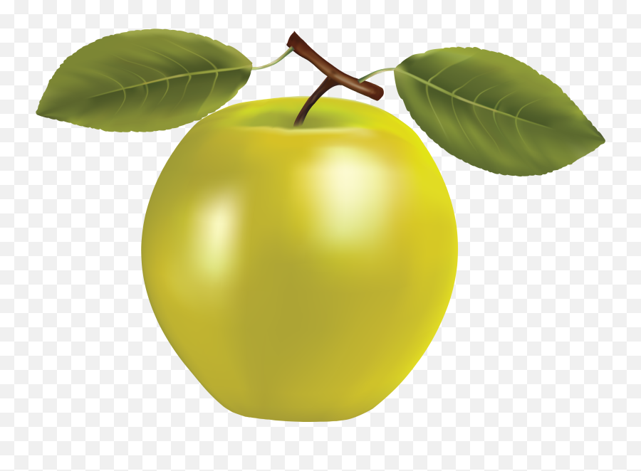 Apple Fruit Picture Transparent - Yellow Apple Transparent Emoji,Green Apple Emoji