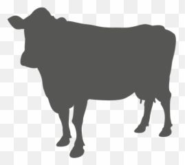 Ox Vector Jallikattu Picture - Transparent Background Cow Silhouette Clip Art Emoji,Ox Emoji
