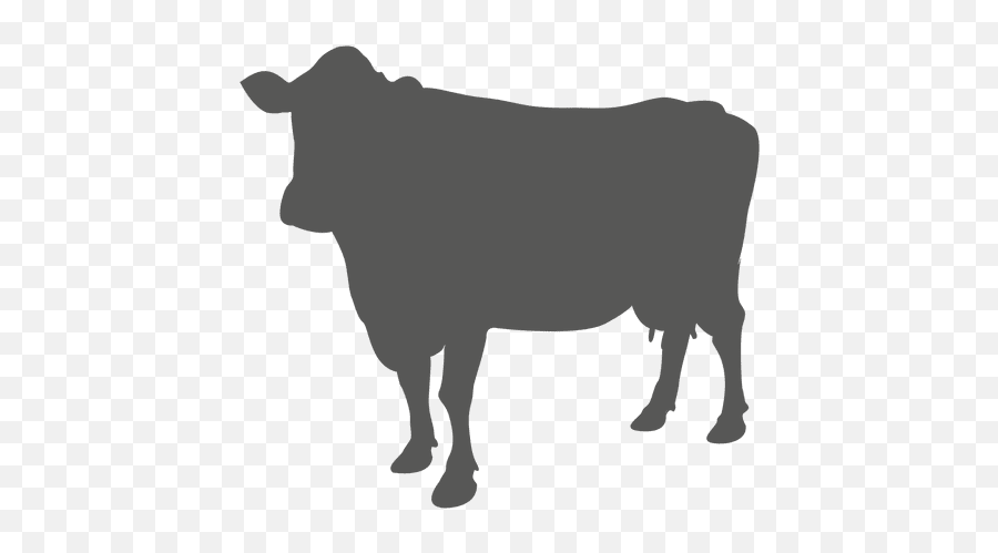 Ox Vector Jallikattu Picture - Transparent Background Cow Silhouette Clip Art Emoji,Ox Emoji