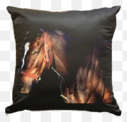 Racehorsepillow - Black Velvet Pillows Transparent Background Emoji,Horse Emoji Pillow