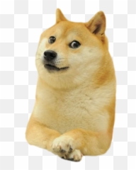 Wot Anime Network - Doge Png Emoji,Doge Emoticon