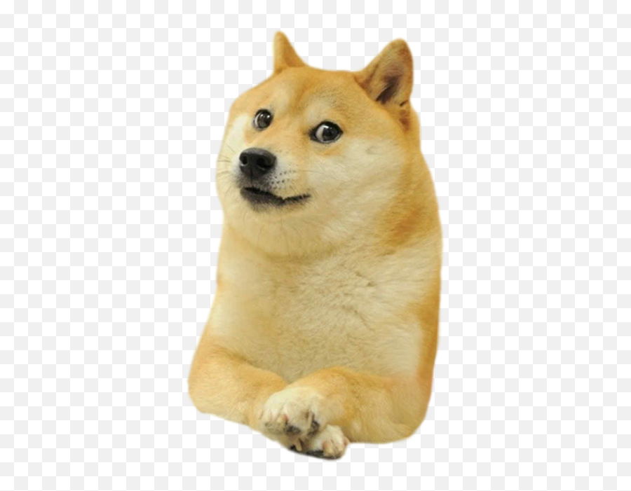 Wot Anime Network - Doge Png Emoji,Doge Emoticon