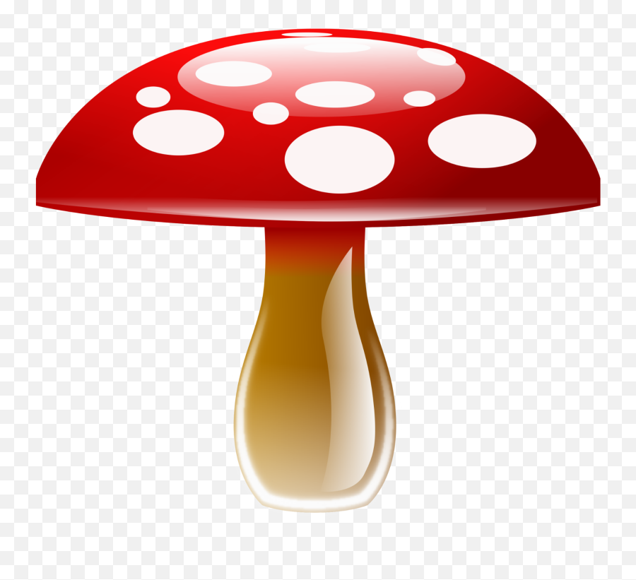 Mq Red Mushroom Forest - Cartoon Image Of Mushrooms Png Emoji,Emoji Mushroom