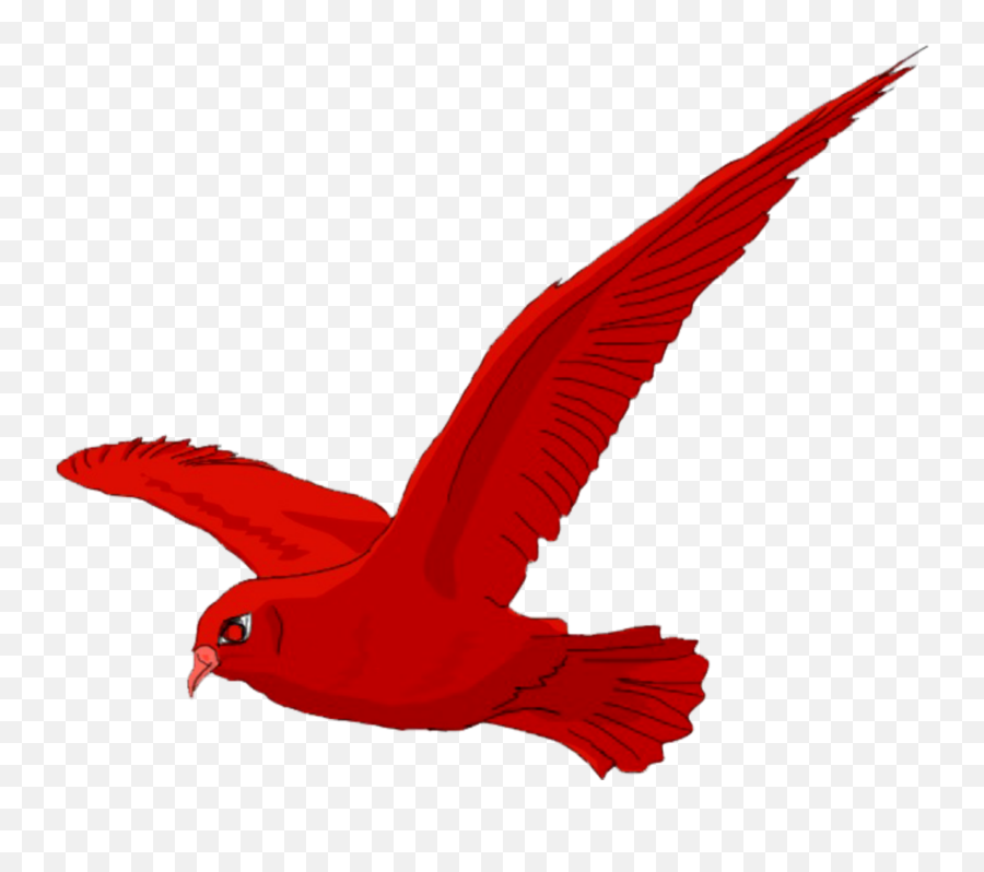 Mq Red Birds Bird Fly - Sticker By Marras Macaw Emoji,Red Bird Emoji