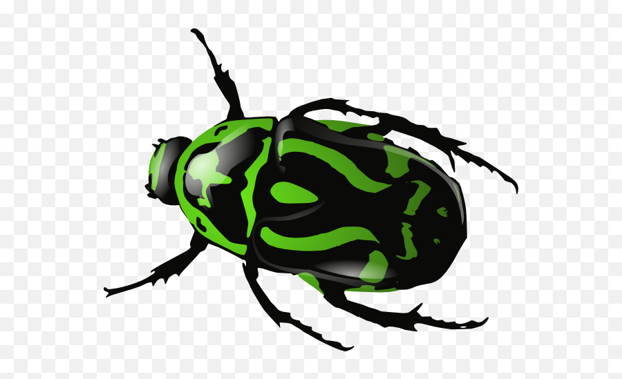 Ground Beetle Black And White - Clip Art Library Beetle Clipart Emoji,Beetle Emoji